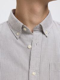 OXFORD SHIRT, Morel, highres