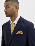 Selected PRINTED HANDKERCHIEF, Golden Nugget, highres - 16083983_GoldenNugget_003.jpg