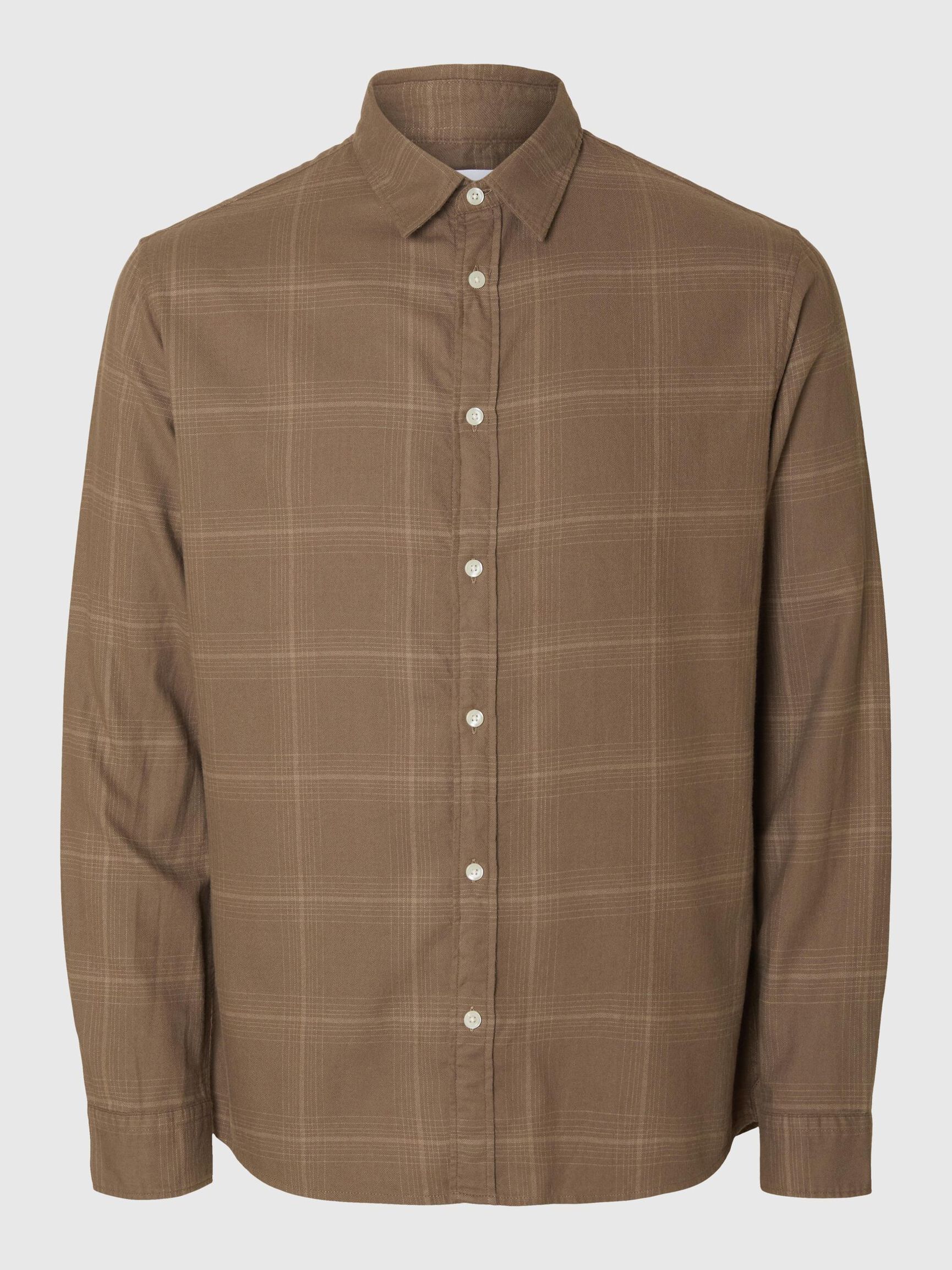 CAMICIA, Morel, highres
