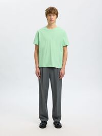 REGULAR T-PAITA, Hemlock, highres