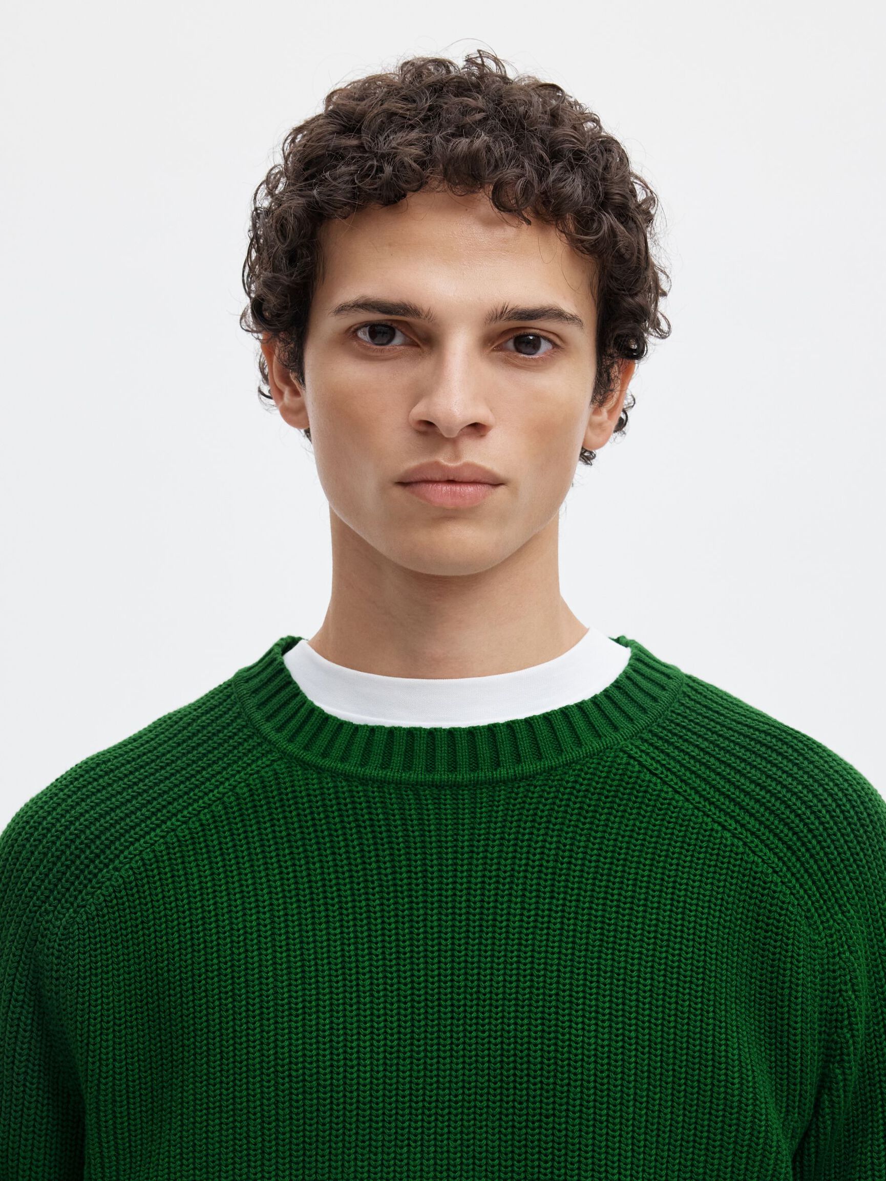 CREW NECK JUMPER, Formal Garden, highres