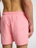 Selected KLASSISCHE BADESHORTS, Dianthus, highres - 16089428_Dianthus_006.jpg