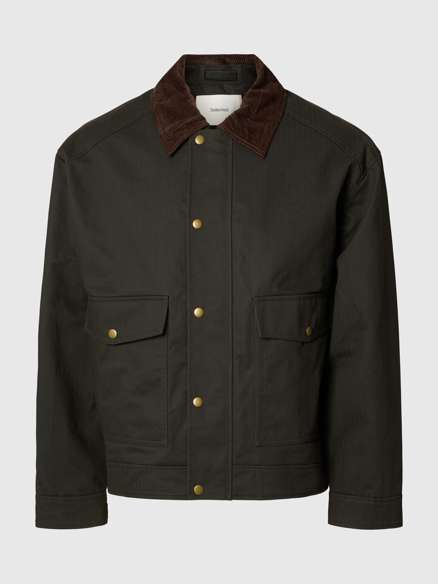 COTTON JACKET, Peat, highres