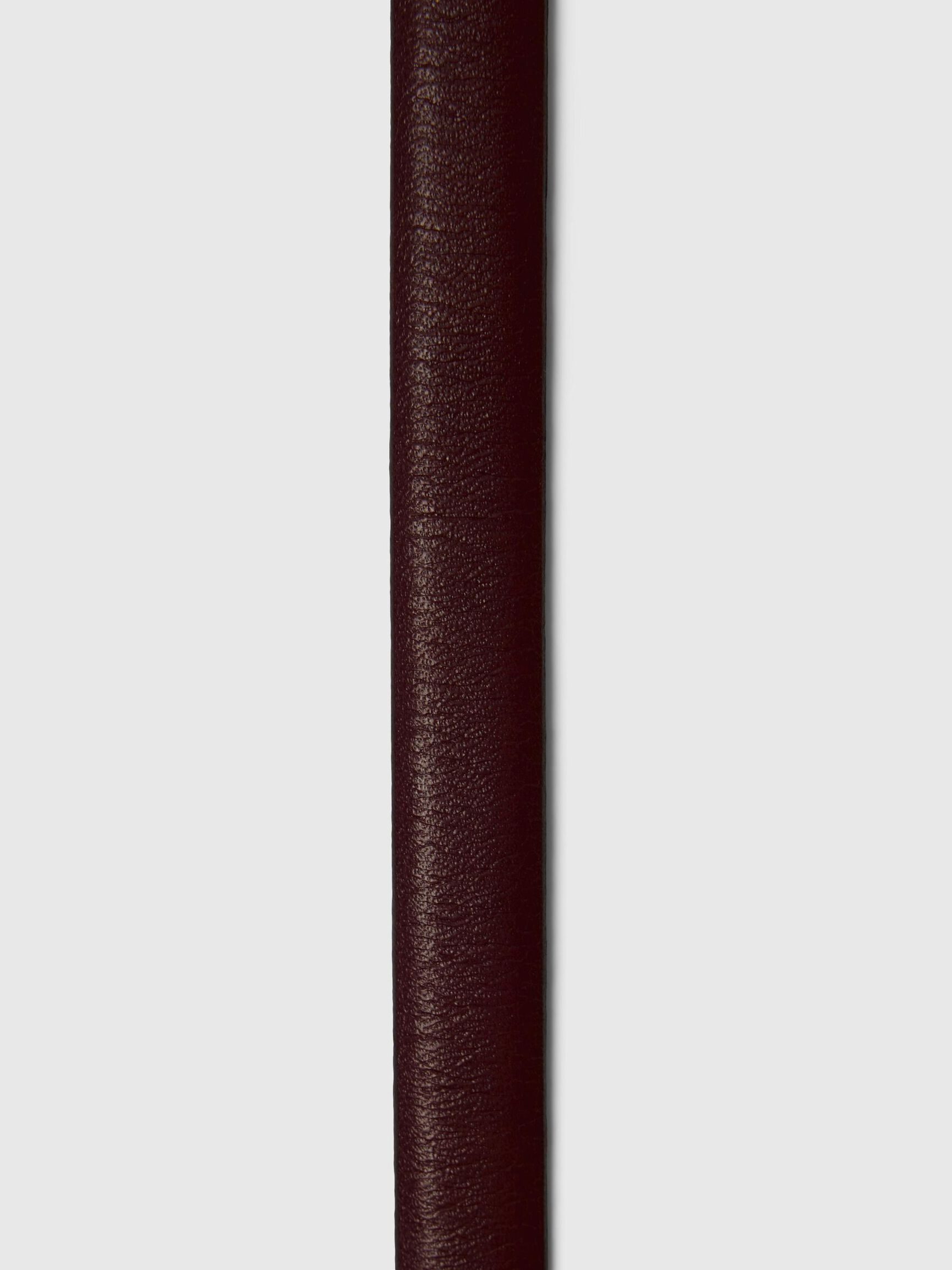 DUN LEREN RIEM, Fig, highres