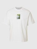 Selected PRINT T-SHIRT MIT RUNDHALSAUSSCHNITT, Bright White, highres - 16097664_BrightWhite_1189107_001.jpg