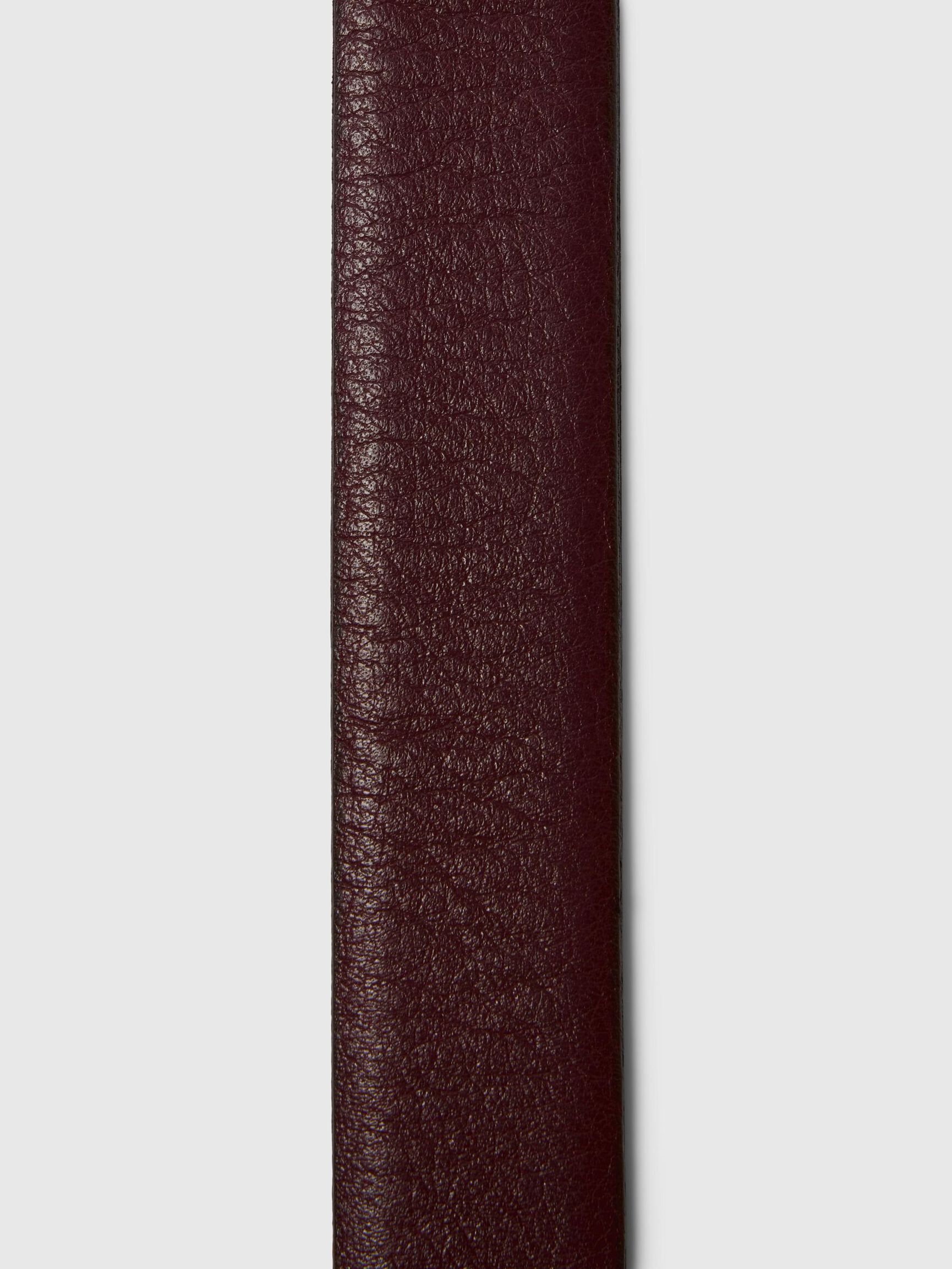 LEDER GÜRTEL, Fig, highres