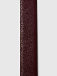 LEDER GÜRTEL, Fig, highres