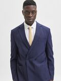 Selected PLAIN TIE, Golden Nugget, highres - 16083974_GoldenNugget_003.jpg