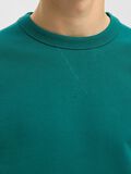 Selected 100% COTTON SWEATSHIRT, Bayou, highres - 16099829_Bayou_006.jpg