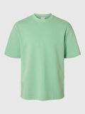 Selected LOOSE FIT T-SHIRT, Hemlock, highres - 16094143_Hemlock_001.jpg