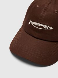EMBROIDERED CAP, Delicioso, highres