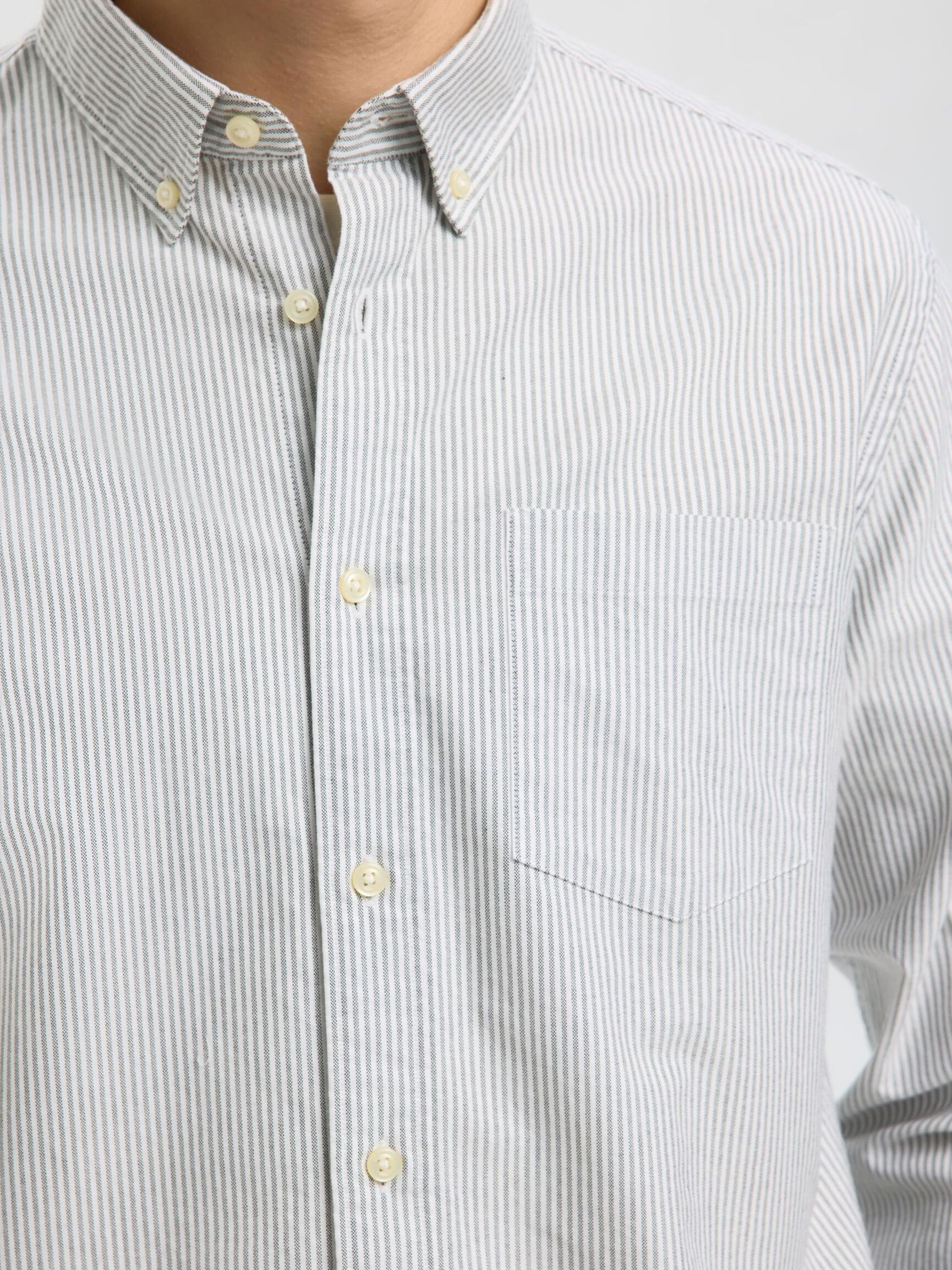 CAMICIA, Forest Night, highres