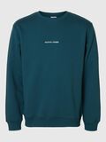 Selected BRODERIE SWEAT-SHIRT, Reflecting Pond, highres - 16090431_ReflectingPond_001.jpg