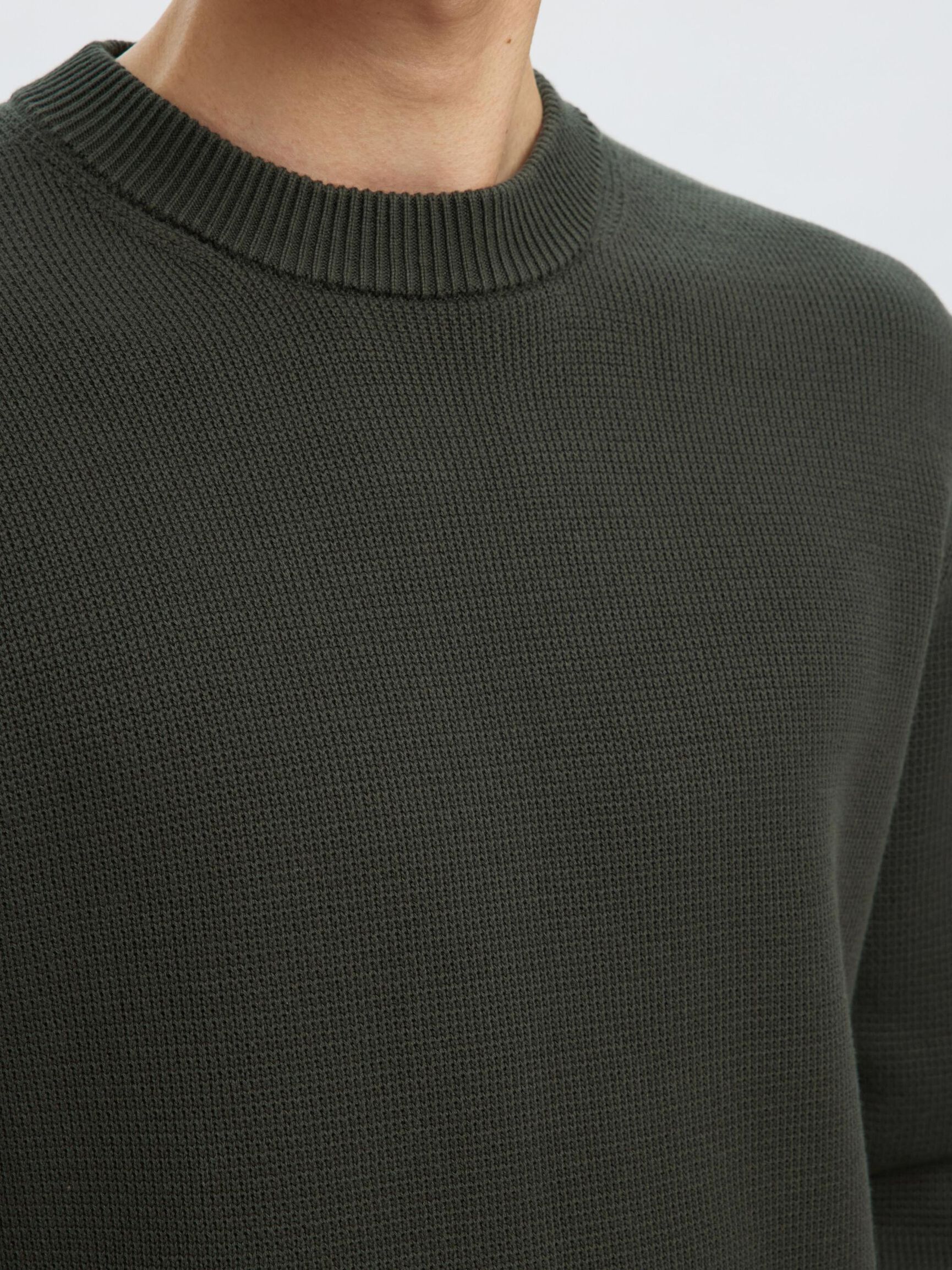 SWEAT-SHIRTS RAS DE COU PULL, Deep Forest, highres