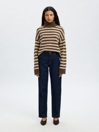 POOLOKAULUS, POOLO, Dachshund, highres