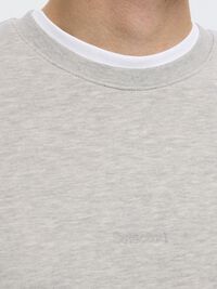 BORDADO SUDADERA, Light Grey Melange, highres