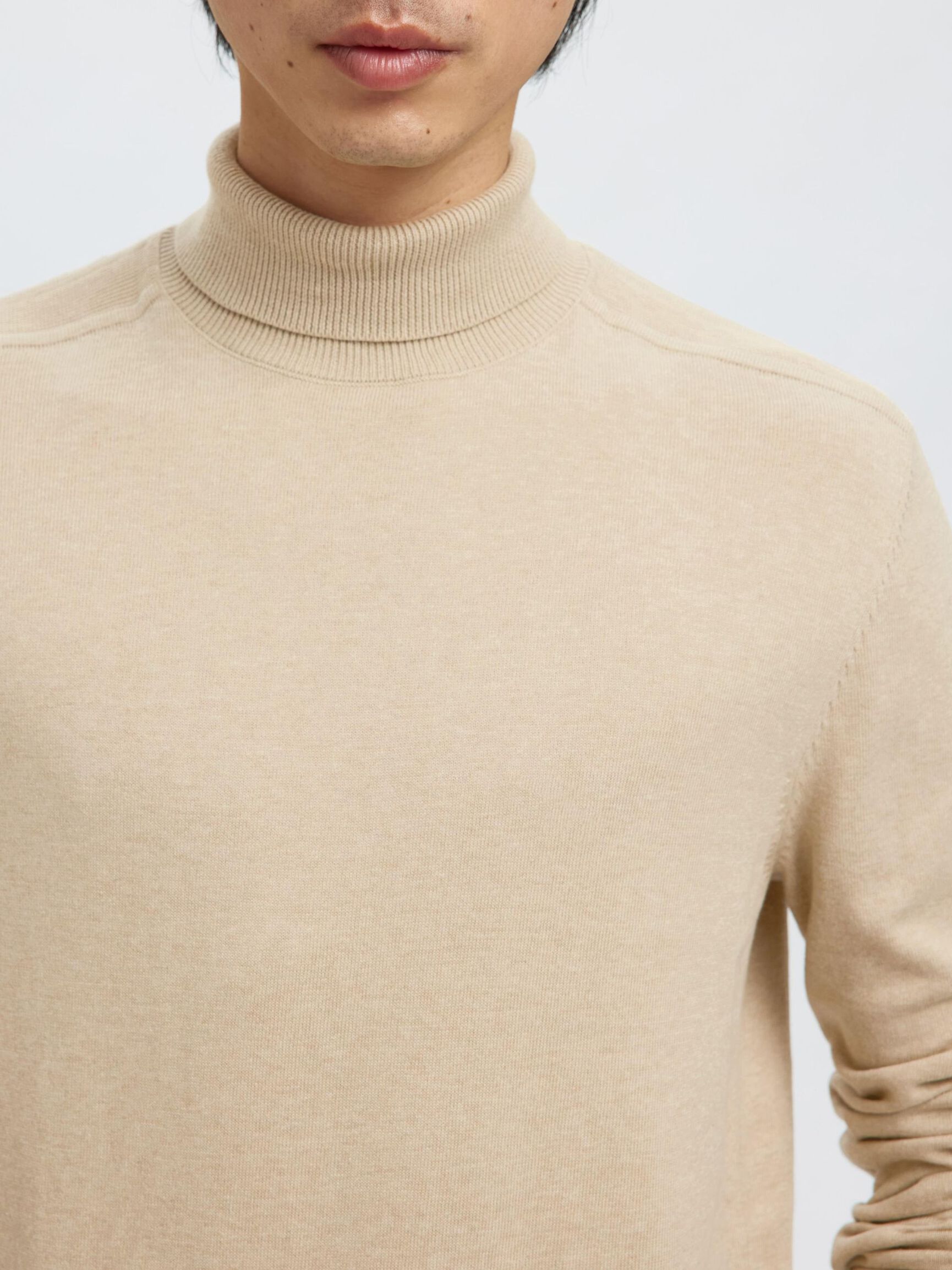 MANCHES LONGUES ET COL ROULÉ PULLOVER, Oatmeal, highres