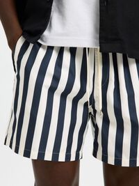 TRYCK BADSHORTS, Sky Captain, highres