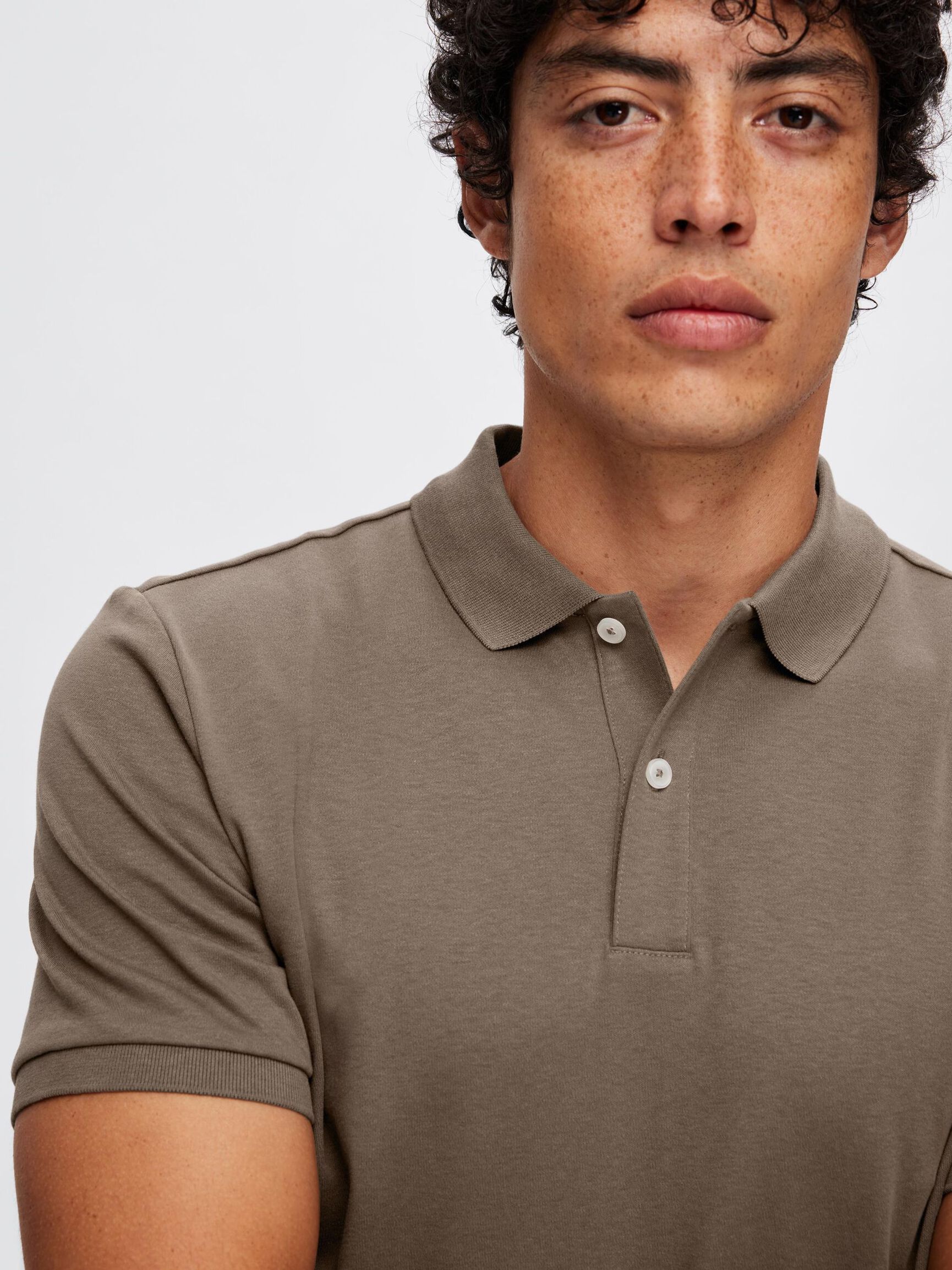 POLO, Morel, highres