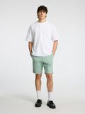 Selected SLIM FIT CHINO SHORT, Iceberg Green, highres - 16092329_IcebergGreen_008.jpg