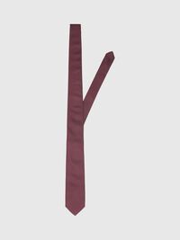 PLAIN TIE, Syrah, highres