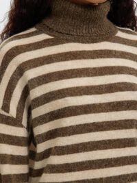 POOLOKAULUS, POOLO, Dachshund, highres