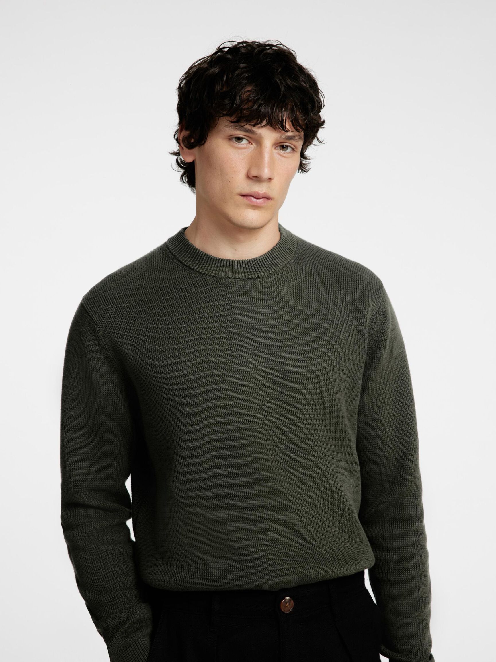 SWEAT-SHIRTS RAS DE COU PULL, Forest Night, highres