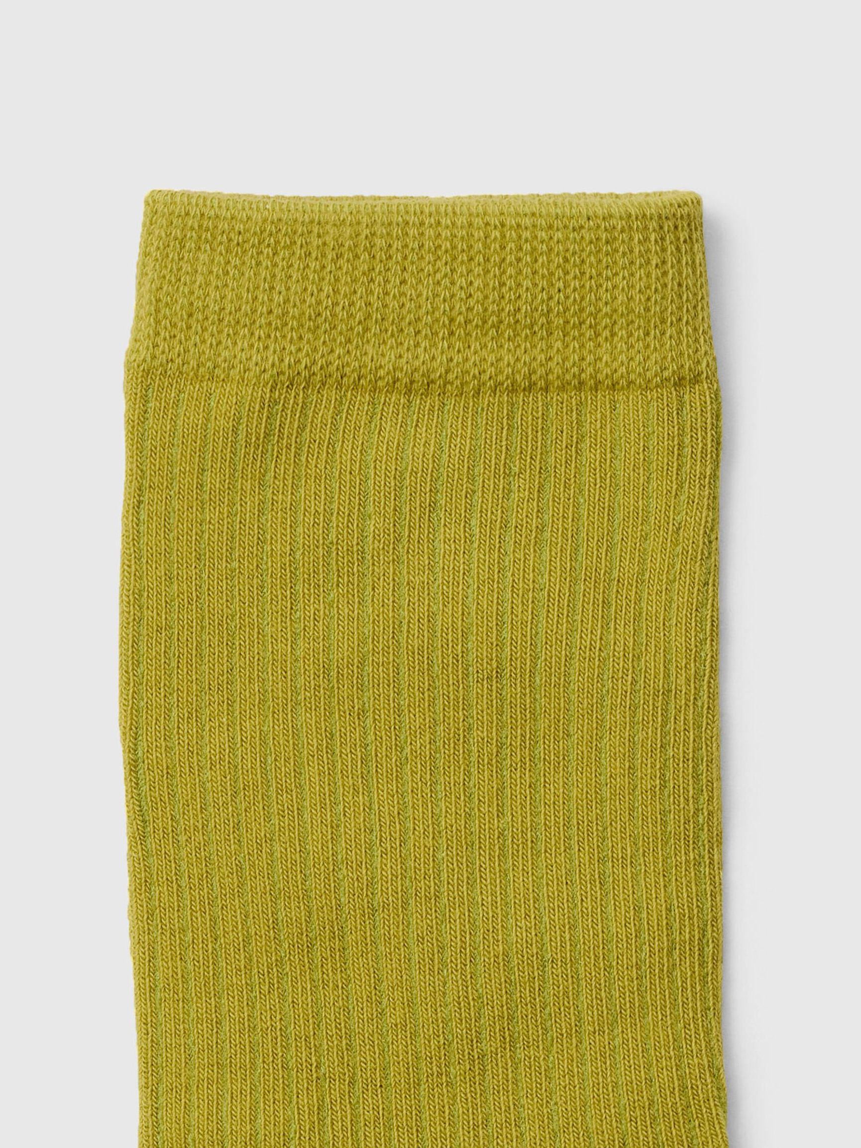 COTTON BLEND SOCKS, Avocado Oil, highres