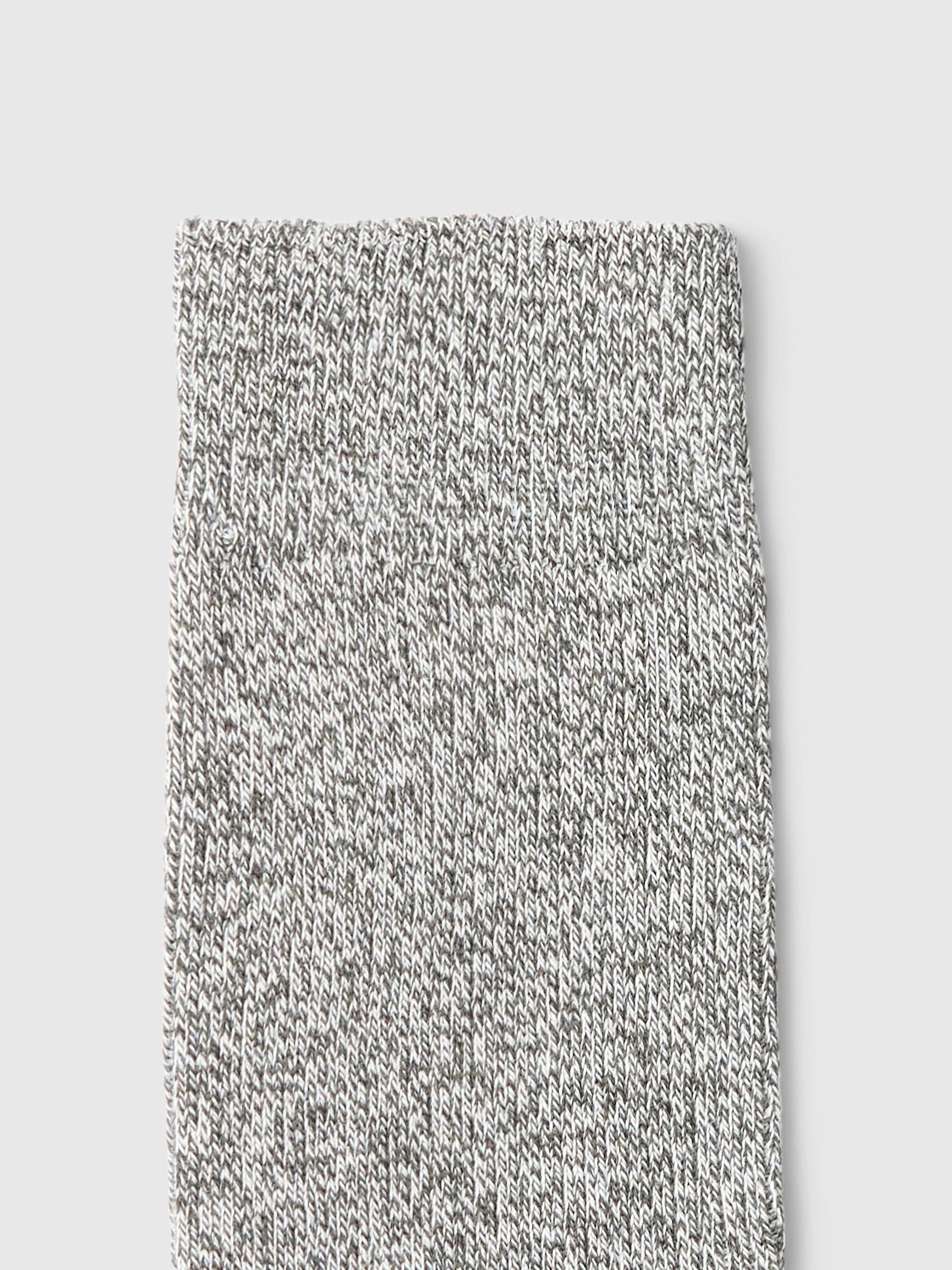 COTTON BLEND SOCKS, Silver Birch, highres