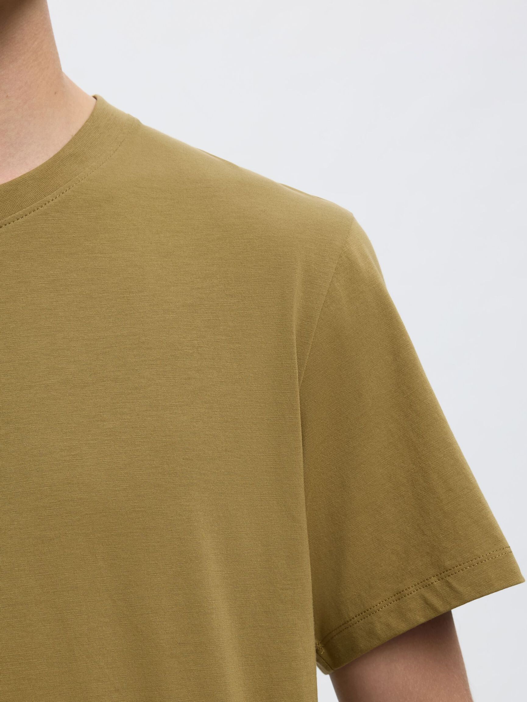 REGULAR T-SHIRT, Dried Herb, highres