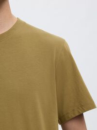 REGULAR T-SHIRT, Dried Herb, highres