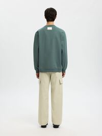COTTON SWEATSHIRT, Balsam Green, highres