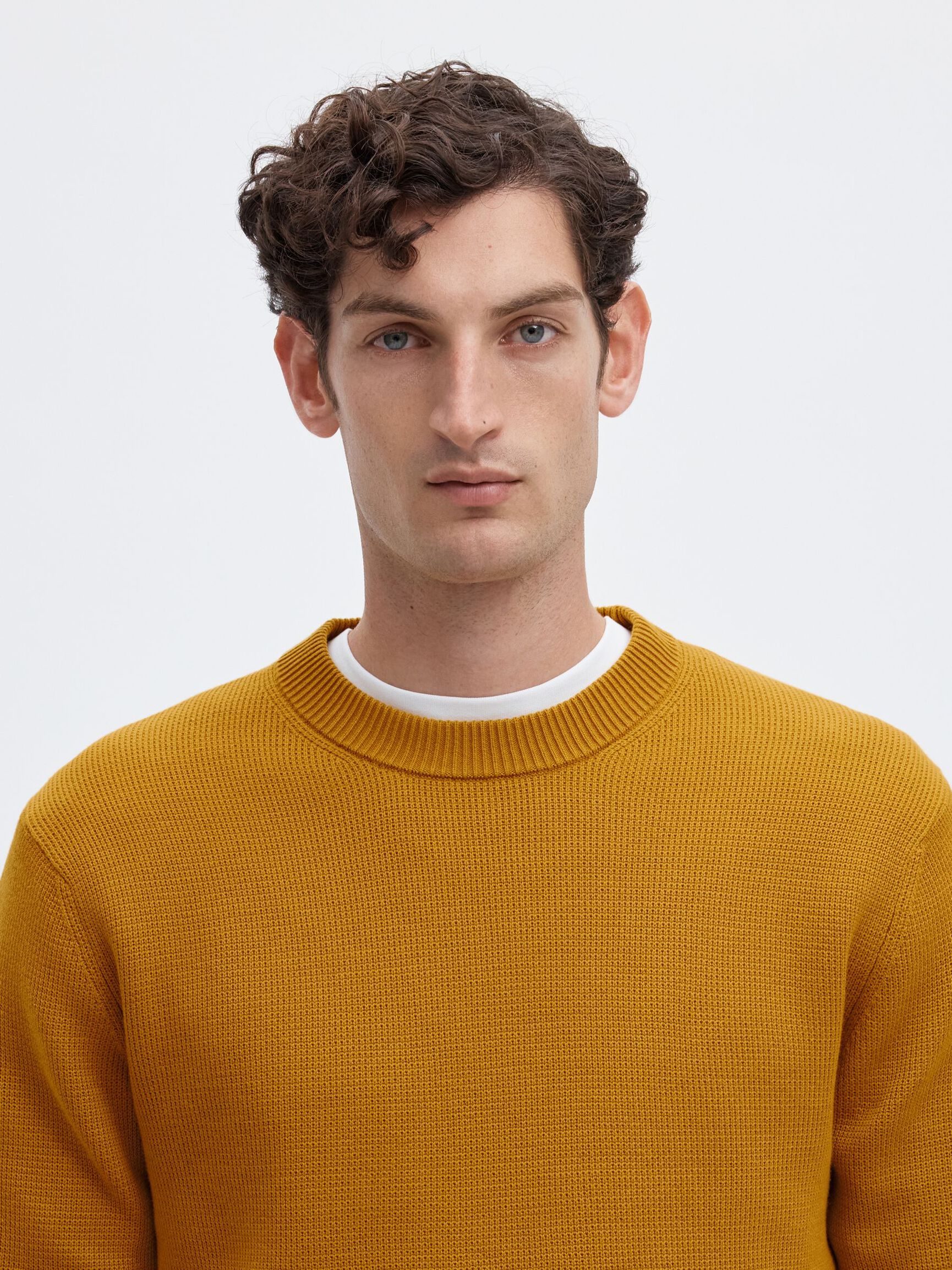 CREWNECK PULLOVER, Chai Tea, highres