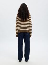 POOLOKAULUS, POOLO, Dachshund, highres