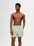 Selected PRINTED SWIM SHORTS, Bok Choy, highres - 16089427_BokChoy_1091671_005.jpg