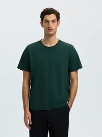COTTON REGULAR FIT T-SHIRT, Pine Grove, highres