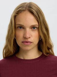 BASIC LANGARMSHIRT, Tawny Port, highres