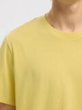 Selected REGULAR T-SHIRT, Sundress, highres - 16087842_Sundress_006.jpg