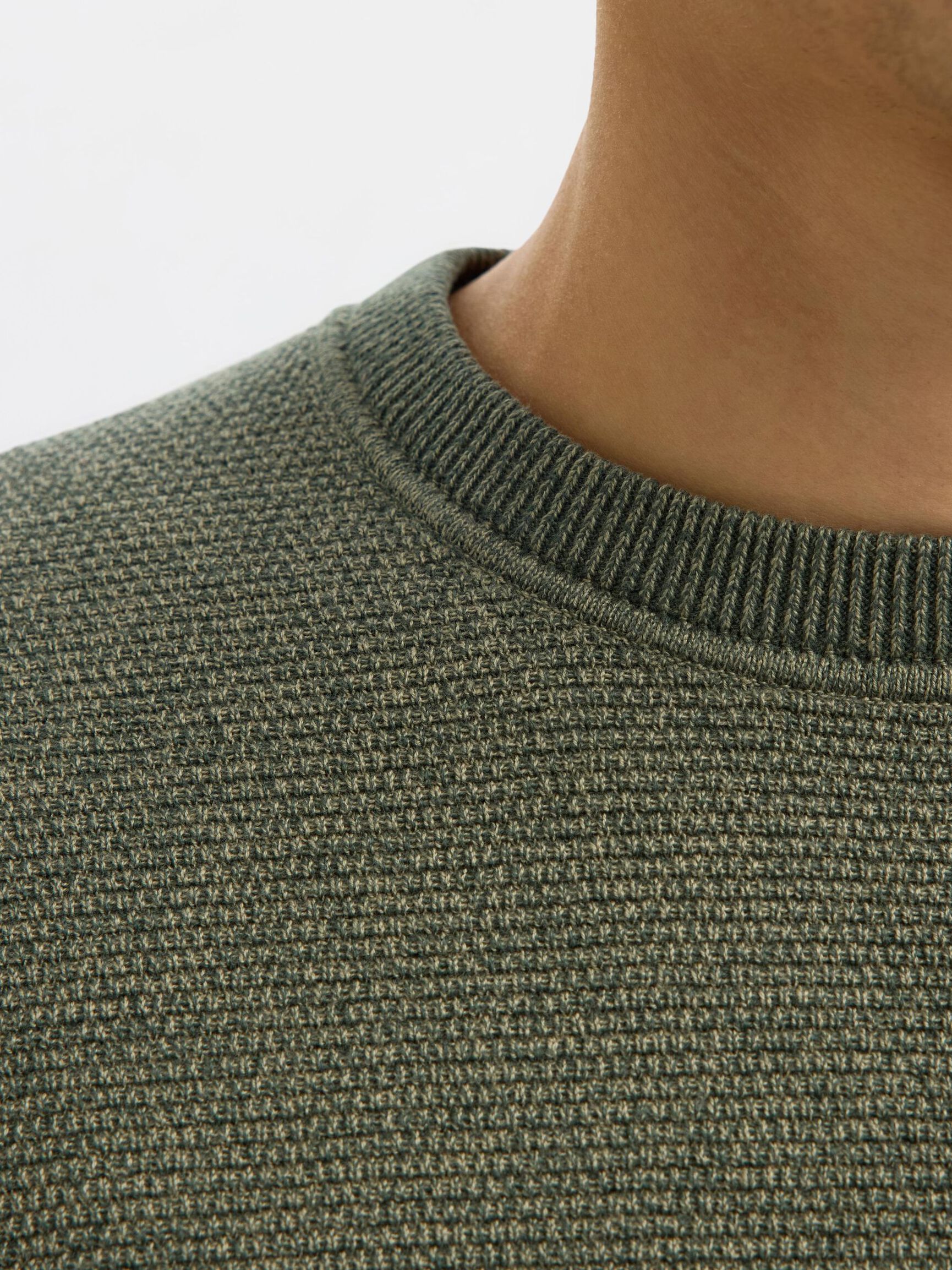 MAGLIONE GIROCOLLO, Deep Forest, highres