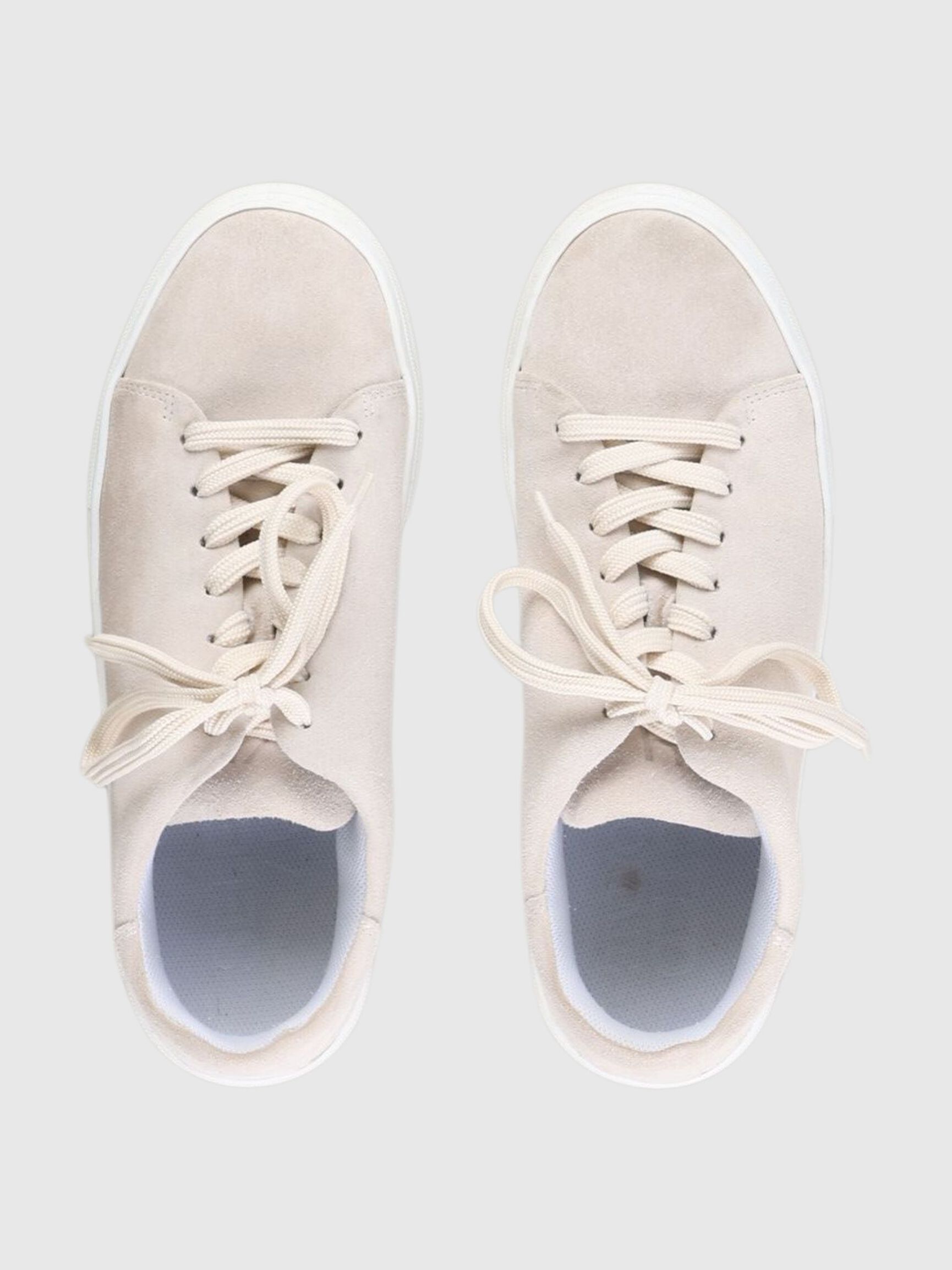 SNEAKER, Birch, highres