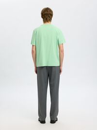 REGULAR T-SHIRT, Hemlock, highres