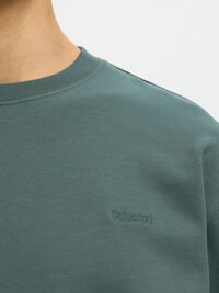COTTON SWEATSHIRT, Balsam Green, highres