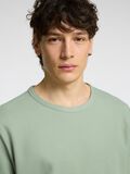 Selected CLASSIQUE T-SHIRT, Iceberg Green, highres - 16089518_IcebergGreen_006.jpg