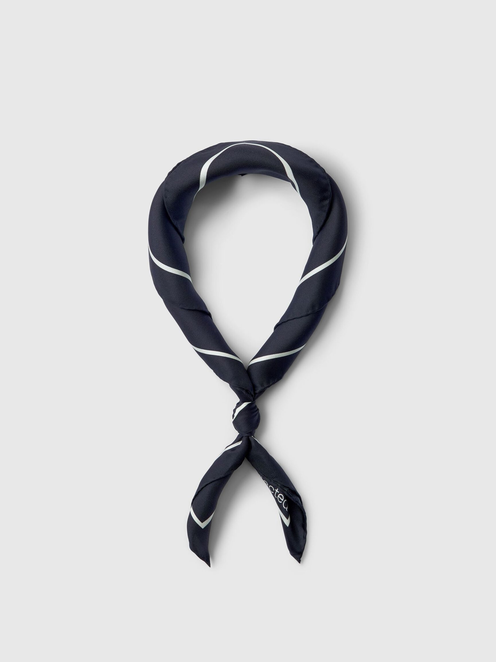 100% SILK SCARF, Egret, highres