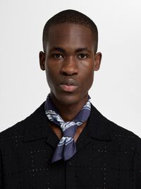 PRINTED SCARF, Egret, highres