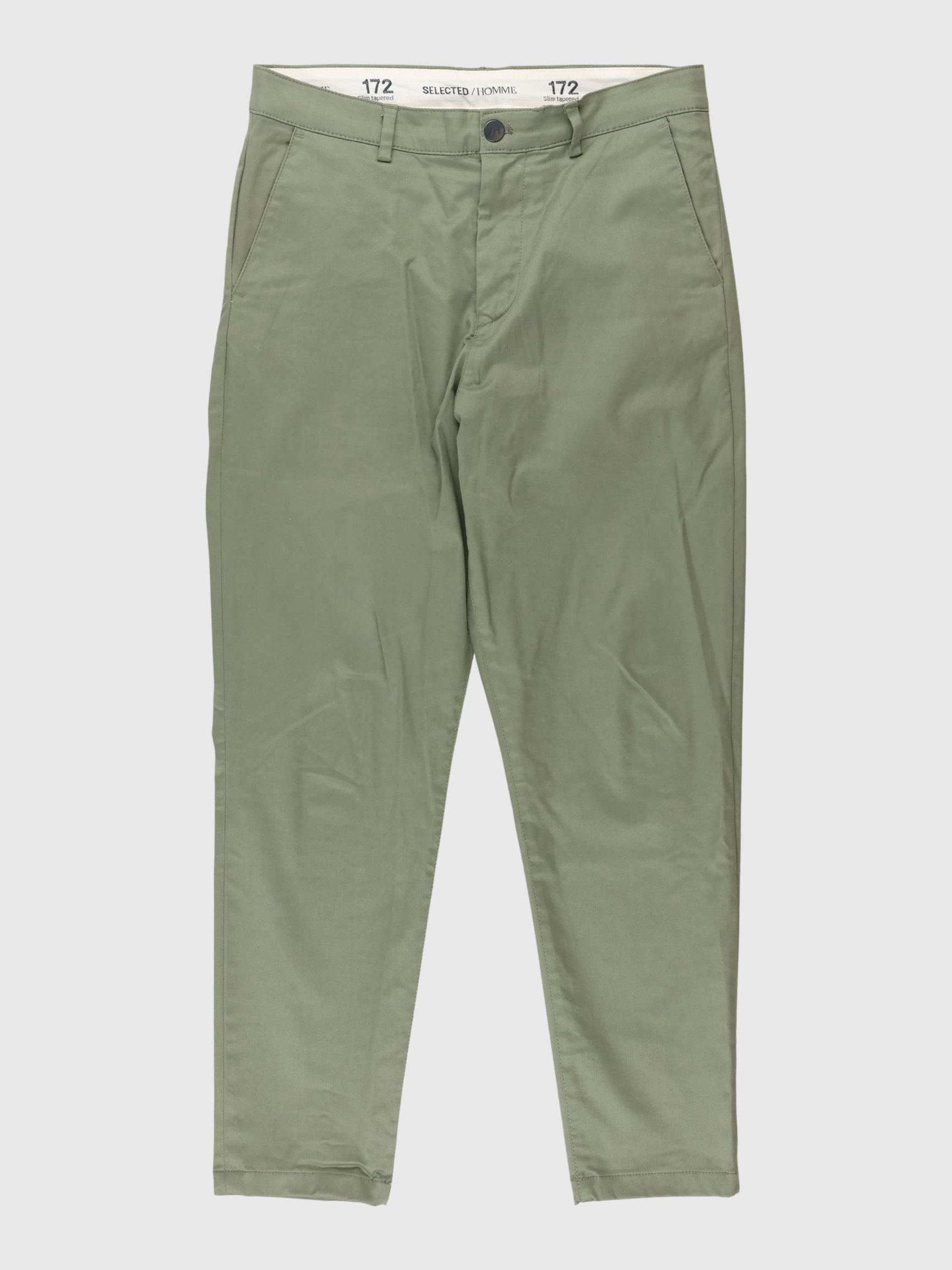 HOSE, Olive Branch, highres