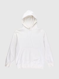 KLASSISCHER HOODIE, Egret, highres