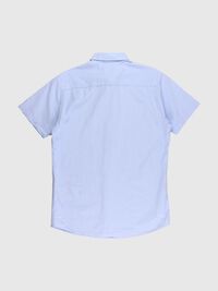 SHIRT, Brunnera Blue, highres