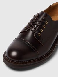 LEER KLASSIEKE DERBY-SCHOENEN, Demitasse, highres