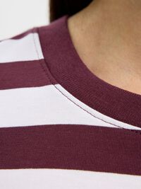 STRIPED BOXY FIT T-SHIRT, Fig, highres